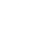 aavso logo